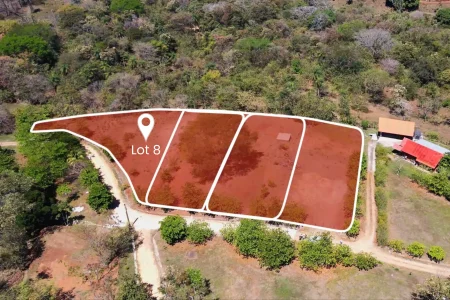 Lot 8