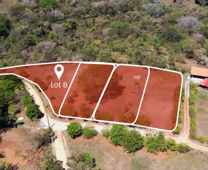 Lot 8