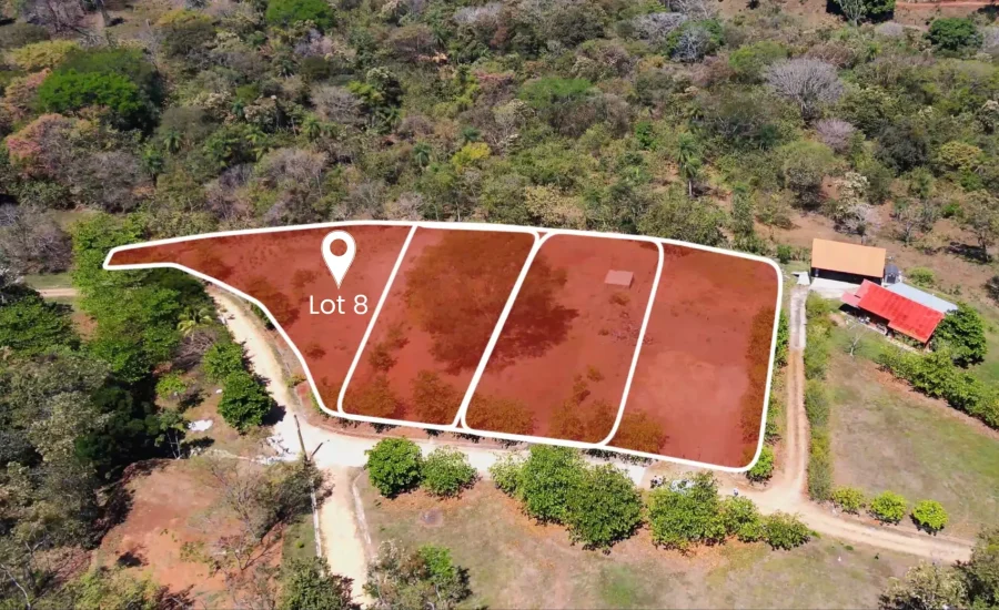 Lot 8