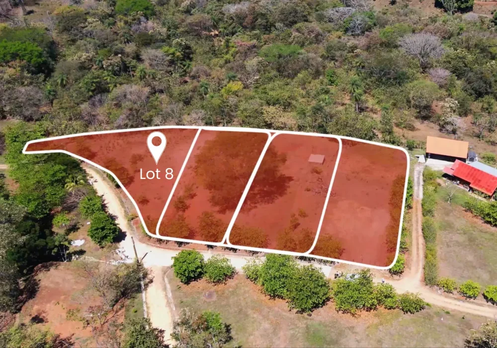Lot 8