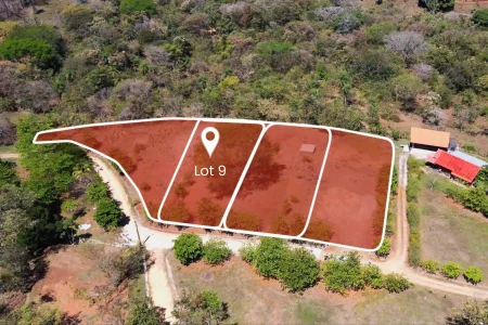 Lot 9