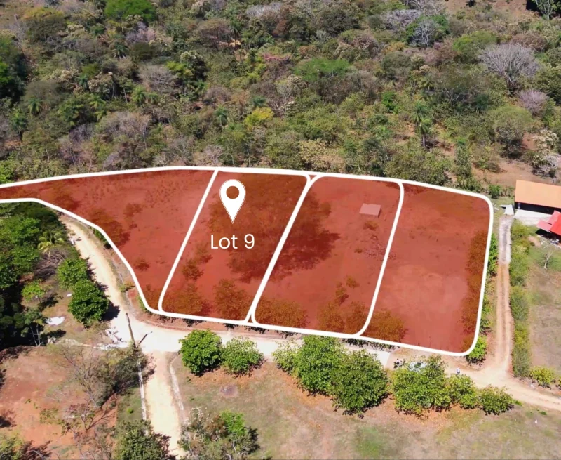 Lot 9