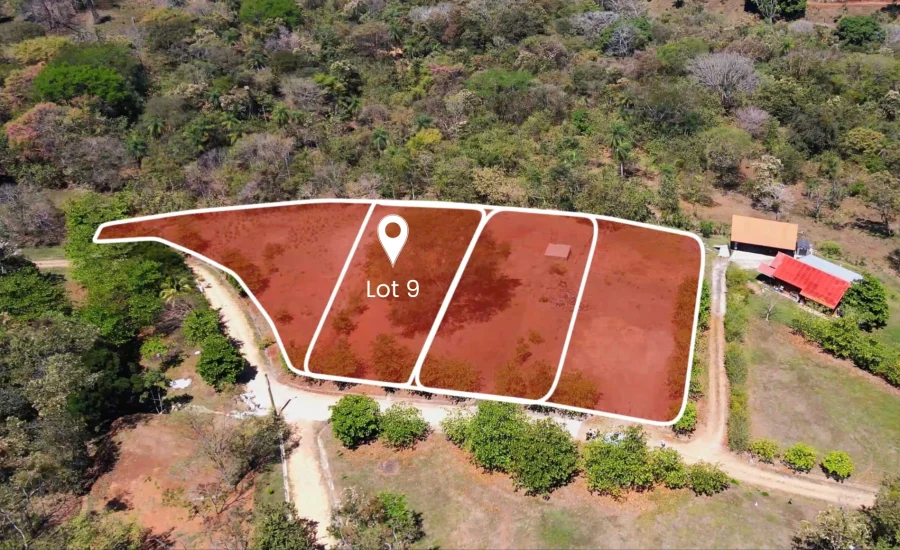 Lot 9