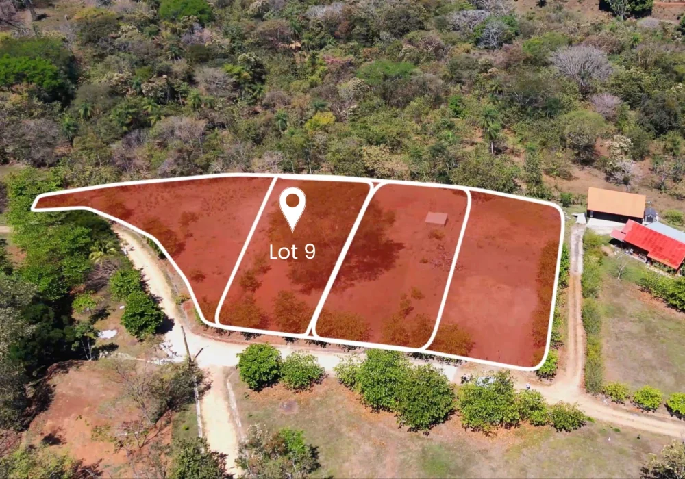 Lot 9