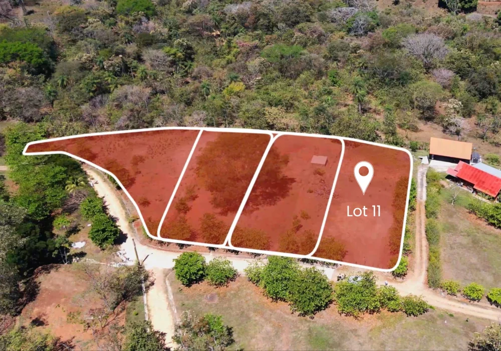 Lot11