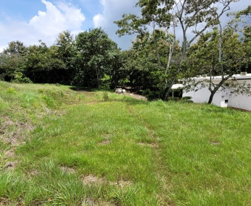 WhatsApp Image 2025-06-04 at 16.31.03 (2)