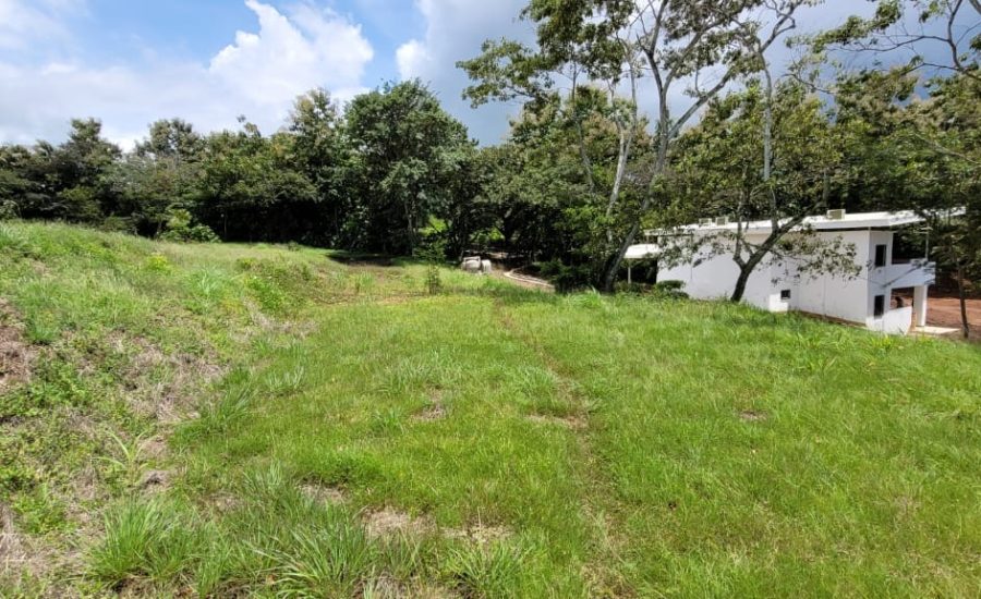 WhatsApp Image 2025-06-04 at 16.31.03 (2)