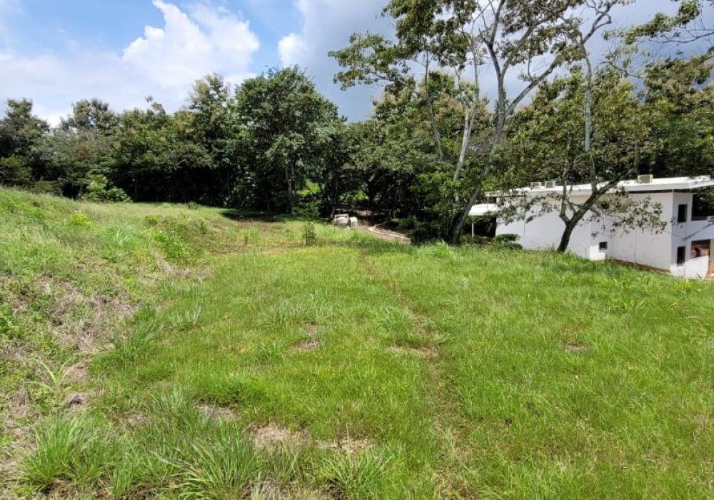 WhatsApp Image 2025-06-04 at 16.31.03 (2)