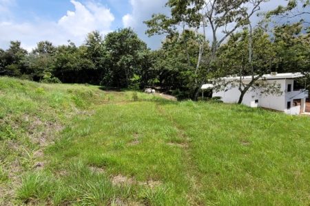 WhatsApp Image 2025-06-04 at 16.31.03 (2)