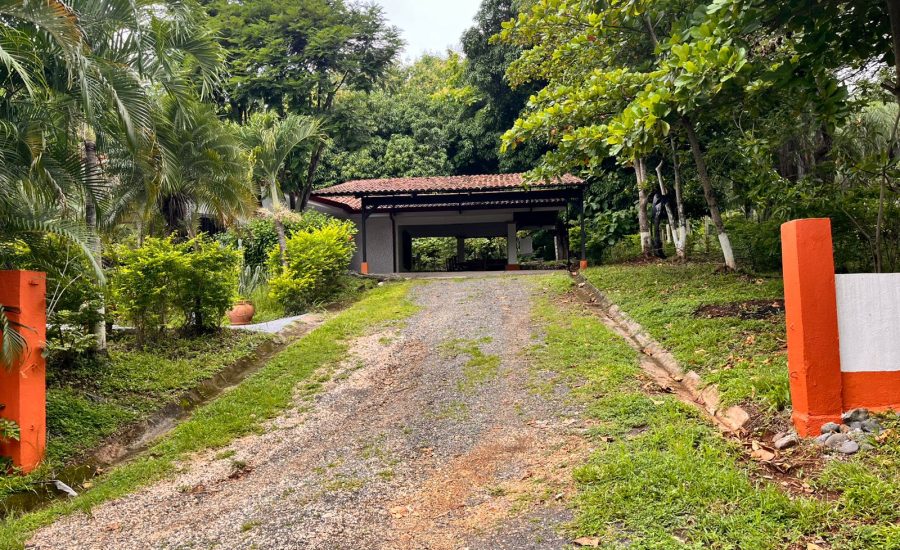 WhatsApp Image 2025-06-28 at 15.19.55 (4)